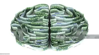 东莞新手理财入门秘籍：我的独家建议让你避坑上手